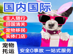 三亚空运代理国际宠物托运 【国